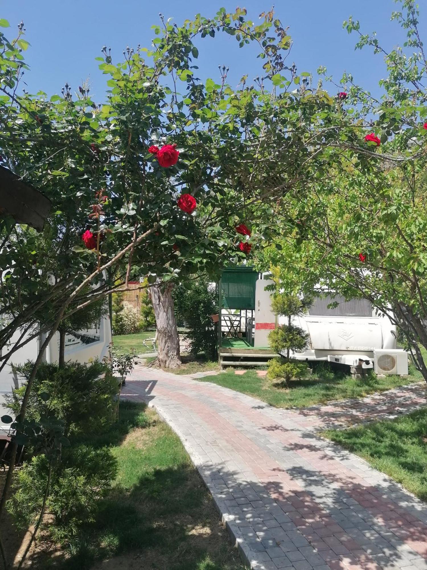 Oba Beach Hotel Ölüdeniz Extérieur photo