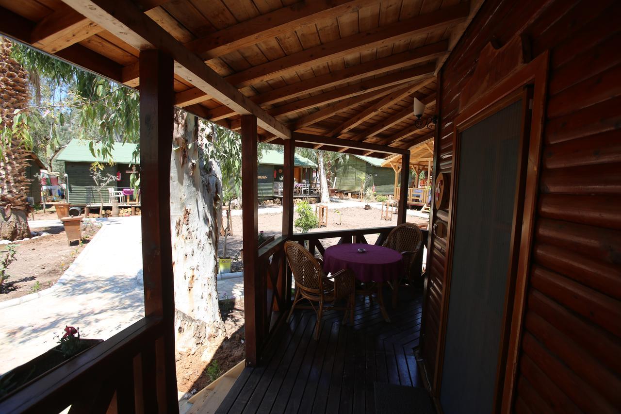 Oba Beach Hotel Ölüdeniz Extérieur photo