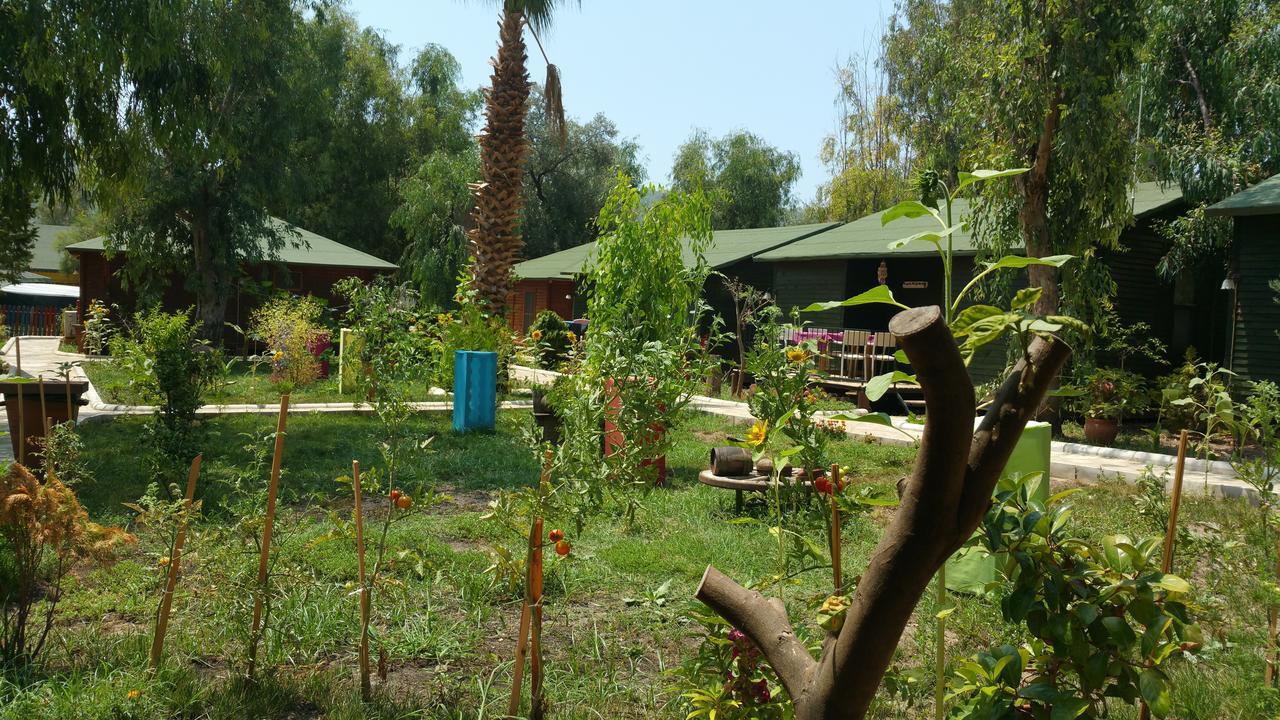 Oba Beach Hotel Ölüdeniz Extérieur photo