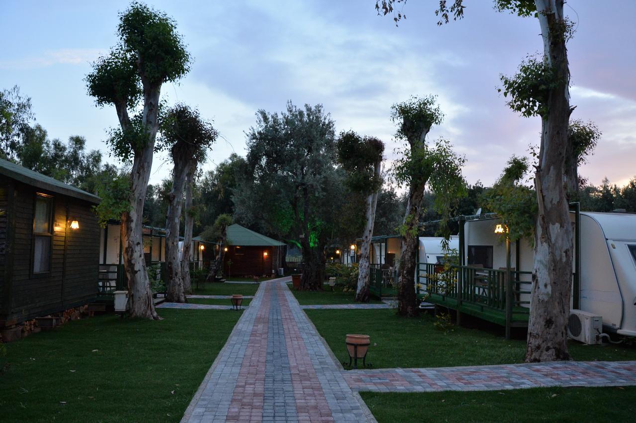 Oba Beach Hotel Ölüdeniz Extérieur photo