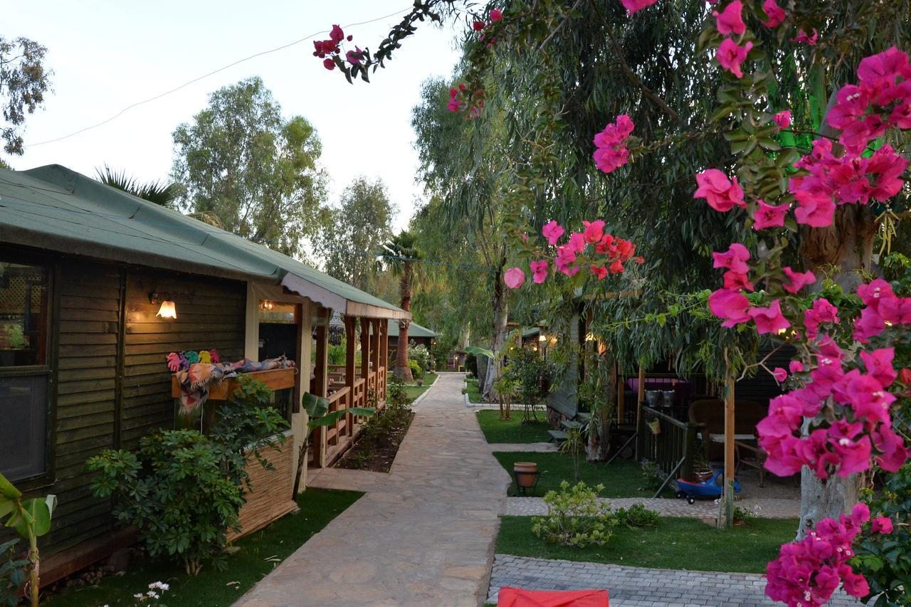 Oba Beach Hotel Ölüdeniz Extérieur photo